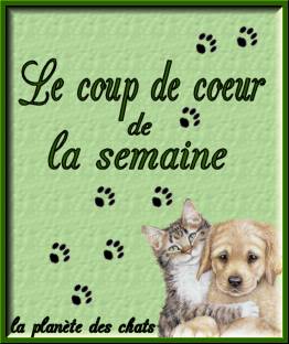 cliquez sur l'image pour arriver au site
