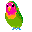oiseau oiseau