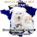 Cliquez pour accder au concours